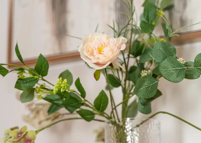 Cozy 3 Bedroom Flat Center 公寓 *